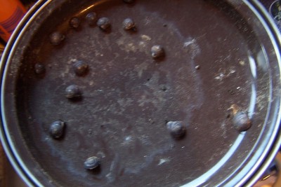 Bild20126.jpg