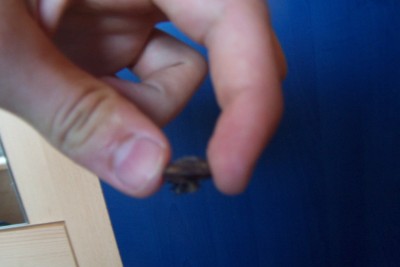 Bild20125.jpg