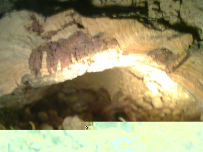 29062011266.jpg