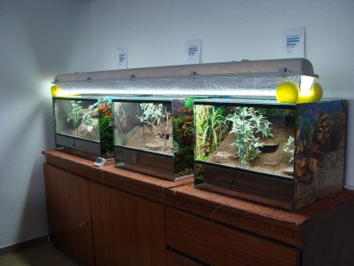 terrariumanlage1.jpg