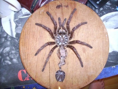 PICT0084.JPG