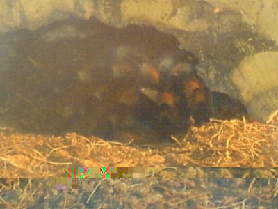 dsc00115.jpg