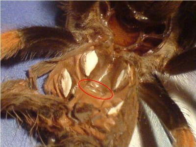 bild2.jpg
