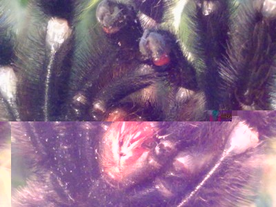 120220121719.jpg