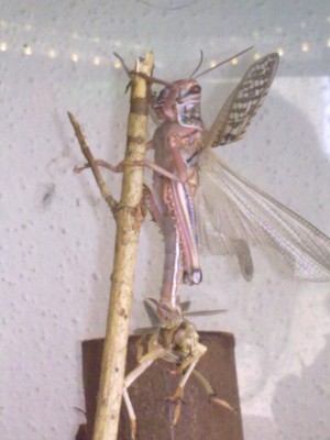 070620122216.jpg