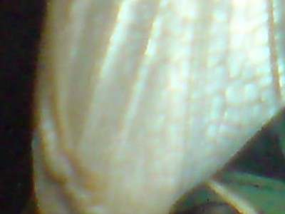 DSC02159.JPG
