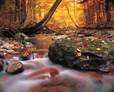 herbst-bilder_4028.jpg