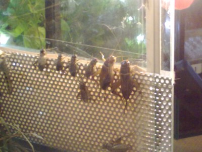 281020123225.jpg