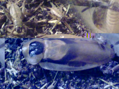 111220123466.jpg