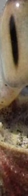 921721_539268502782712_1741046221_o.jpg