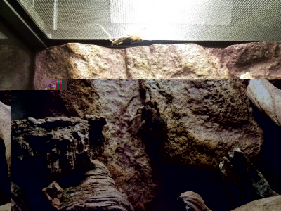 snc00088_kopie.jpg