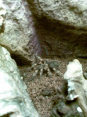 foto007.jpg