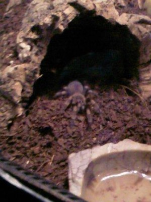foto_0040.jpg