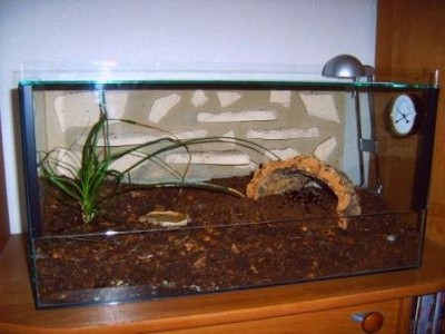 Terra 60x30x30.jpg