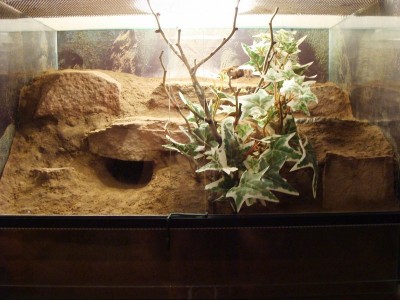 smithi_1281.jpg