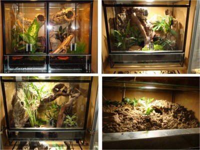 Terrarien_li.jpg