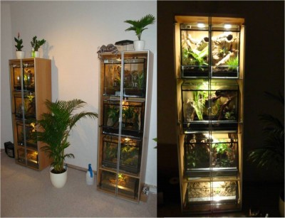 Terrarienanlage_neu.jpg
