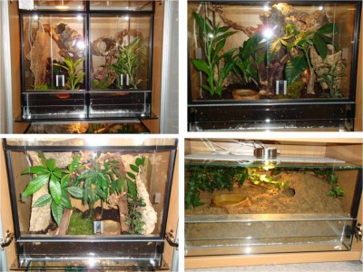 Terrarien_re.jpg