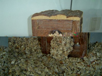 substrate.jpg