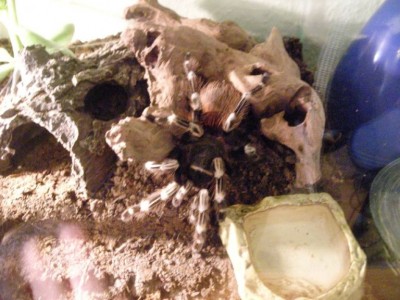 DSCN2554.JPG