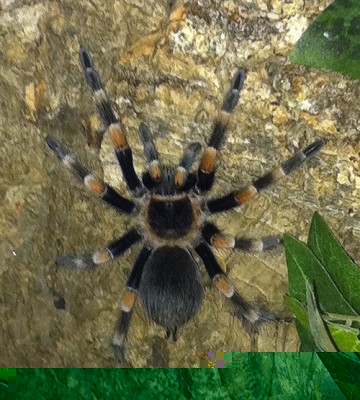 mySmithi_03_03_11.jpg